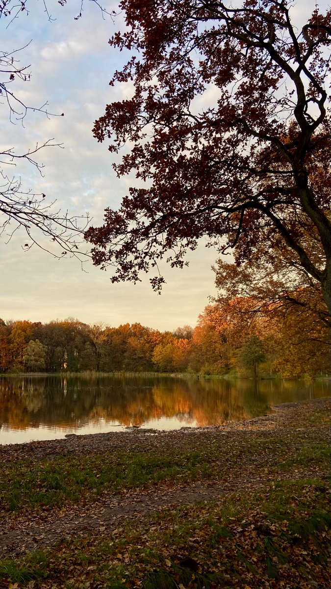 Осень в парке