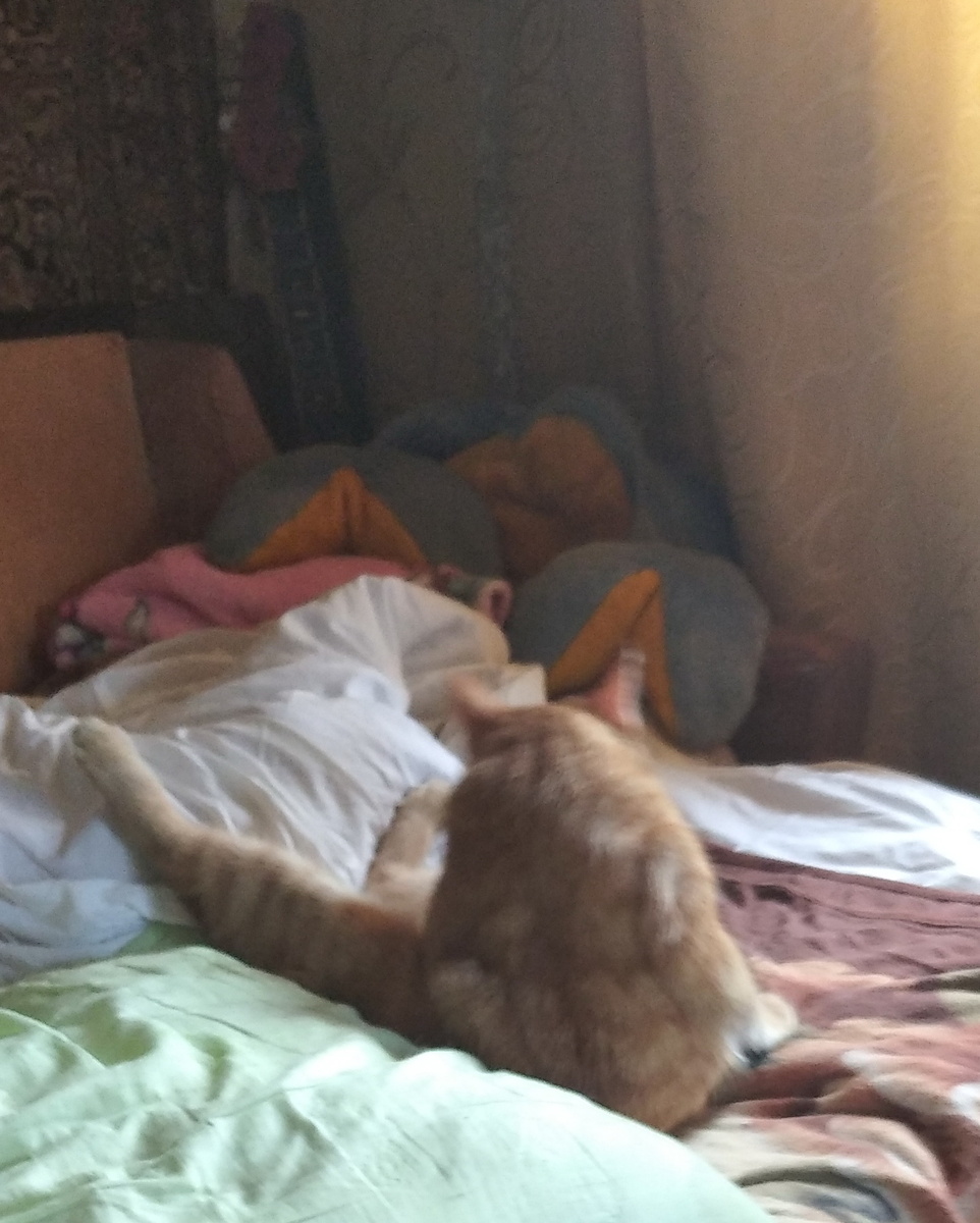 личное фото