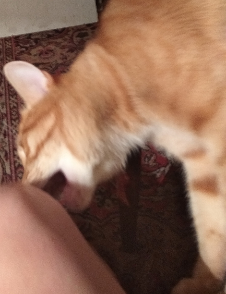 личное фото