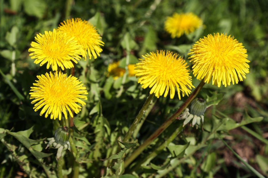    Сергей Булкин/NEWS.ru