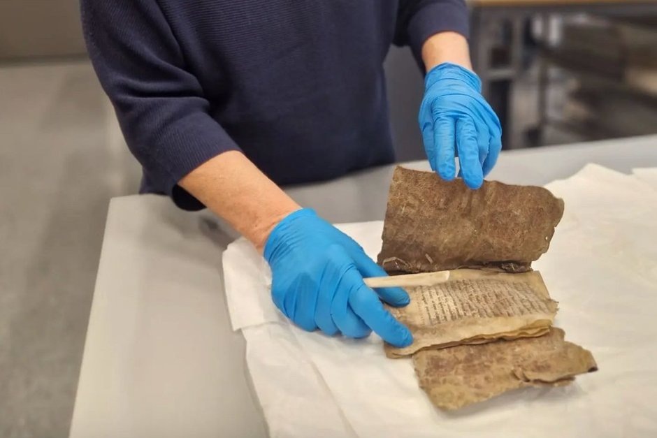   Nina Kristiansen / скриншот с сайта sciencenorway.no