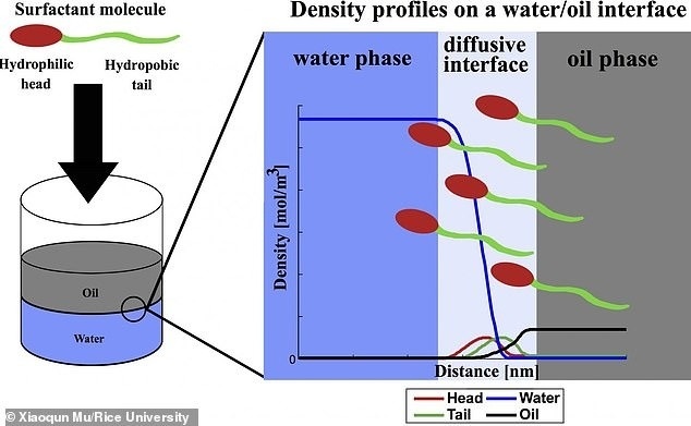    Xiaoqun Mu/Rice University