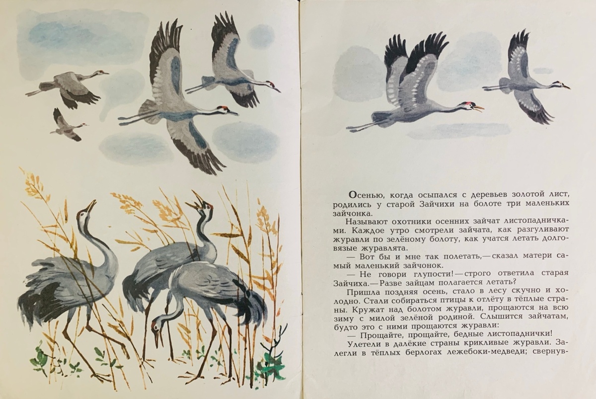 Фото автора (сделано с личной книги)