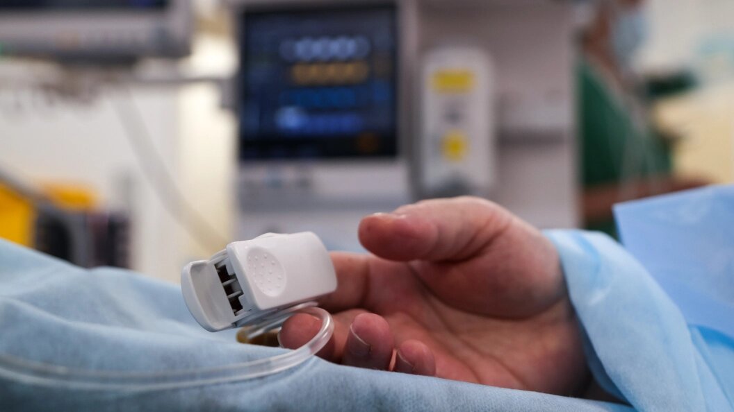    Фото: Belkin Alexey/news.ru/Globallookpress