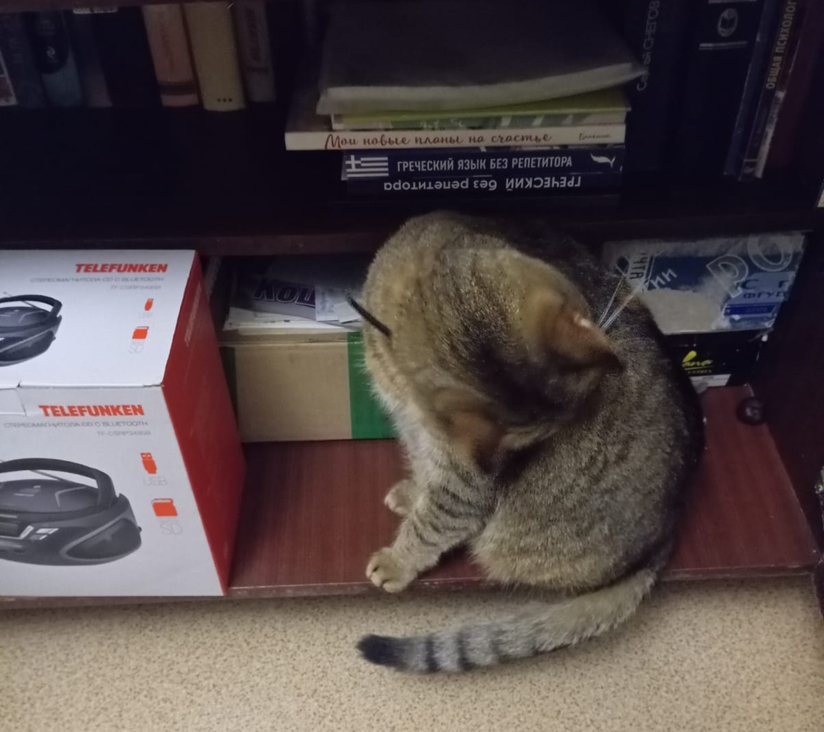 Сеня как всегда :) 