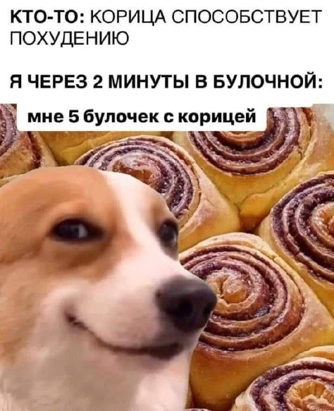 Небольшая тематическая подборка: котики, еда и ЗОЖ 