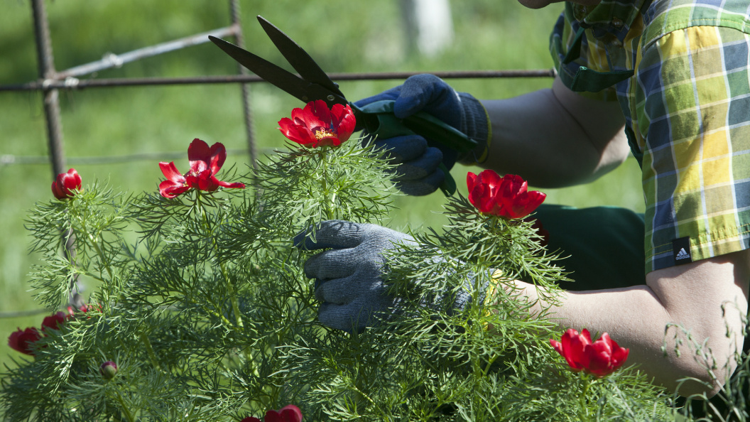    Nikolay Gyngazov/Globallookpress