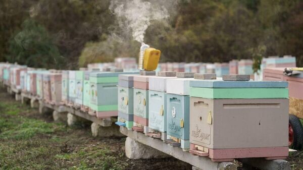    © Telegram Михаил Развожаев