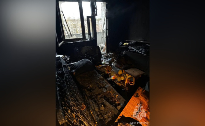    © Пресс-служба ГУ МЧС по Ленинградской области