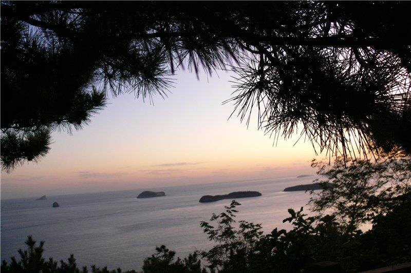 Взято из открытых источников 