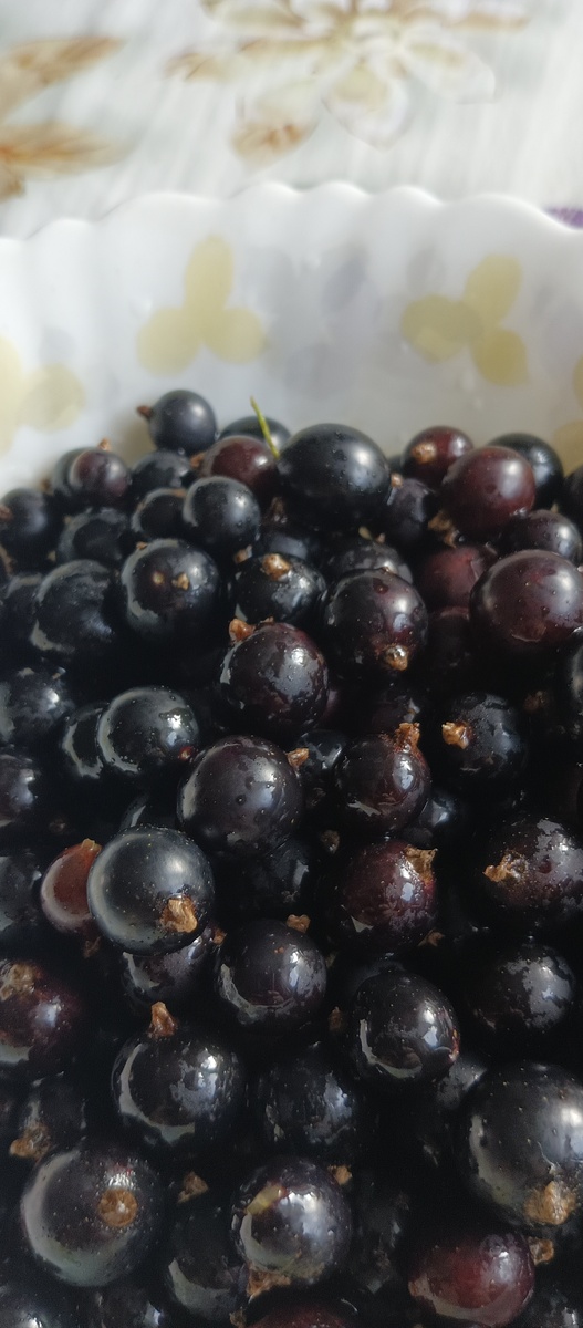 Фото из галереи телефона автора