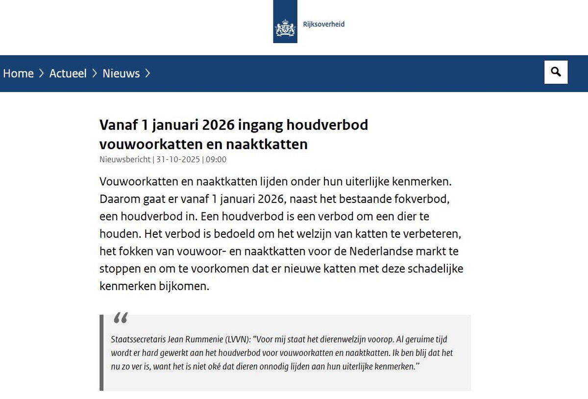Новость о кошках. Фото: rijksoverheid.nl