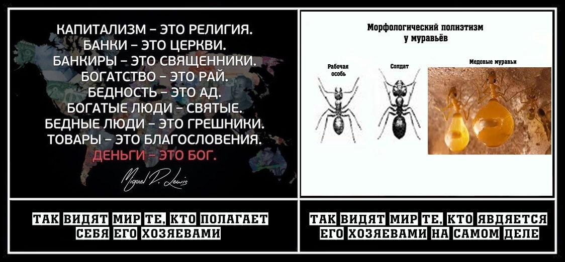 Богачи для "Садовников" - не более, чем медовые муравьи! Согласитесь, коммунизм такого типа более привлекателен - богачи накапливают богатства, думая, что для себя, - но на самом деле делятся со ВСЕМИ ЖЕЛАЮЩИМИ!... Только вот проблема с этим "думать" при муравьиной жизни...