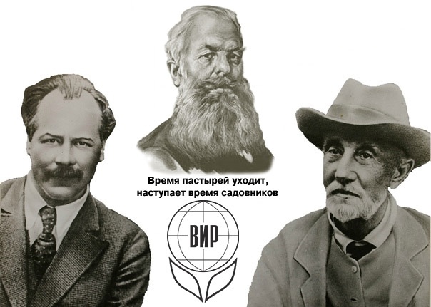 Святая Троица для последователей "Садовников Земли": Докучаев, Мичурин, Вавилов... Не, ну она и правда святая!)))))))))