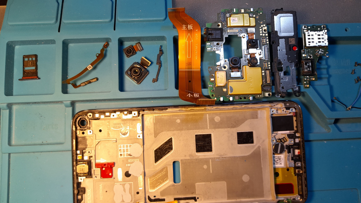 Фото автора.