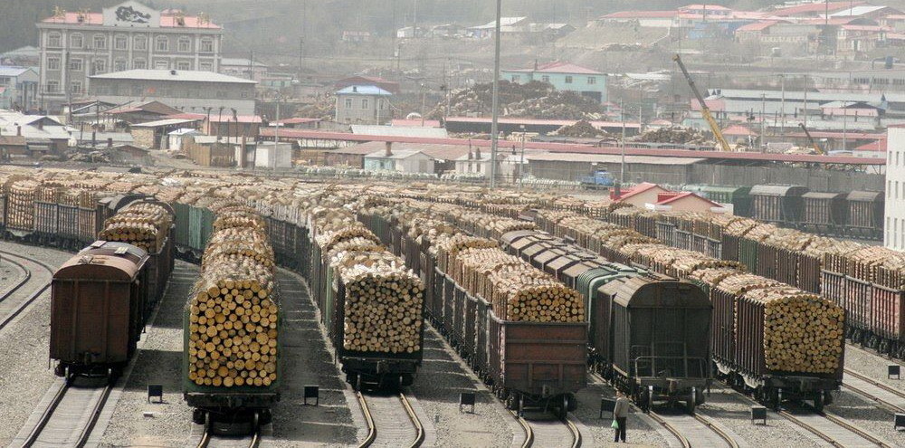 Китайцы ли вырубают леса Сибири?