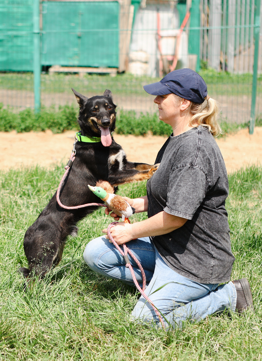 Стой! Не ты моя мама?