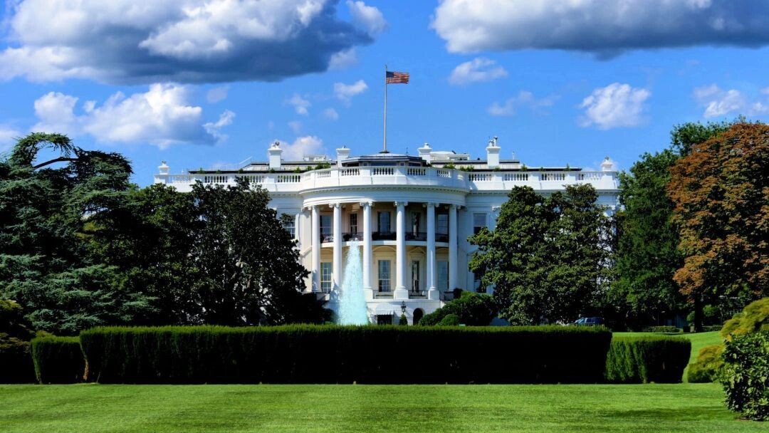    Фото: murathakanart/Shutterstock/Fotodom