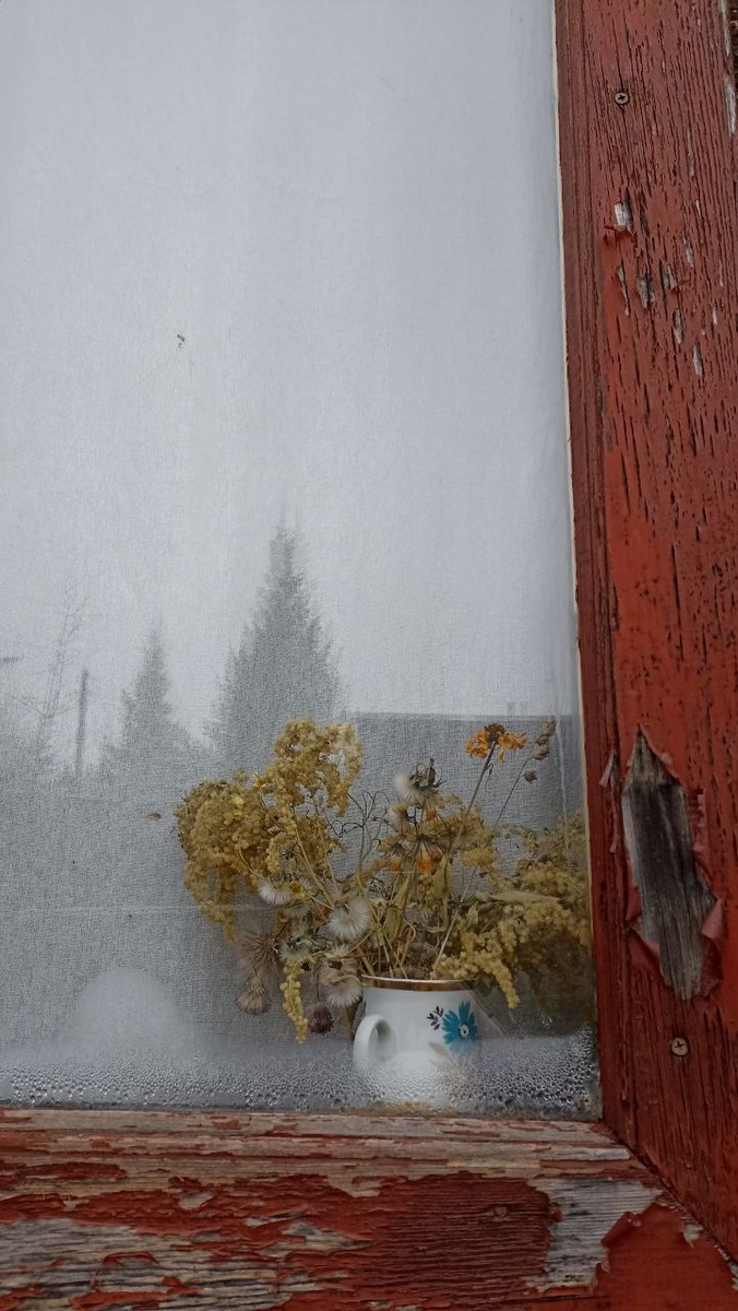 Дачное. 2025. Октябрь