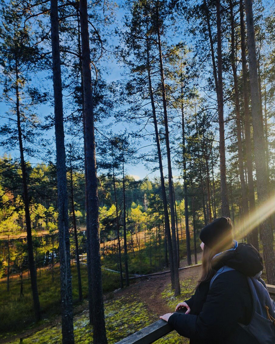 Полюбоваться красотой тут