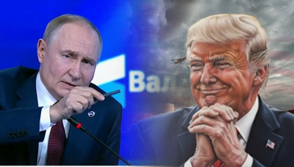 Коллаж Novorosinform