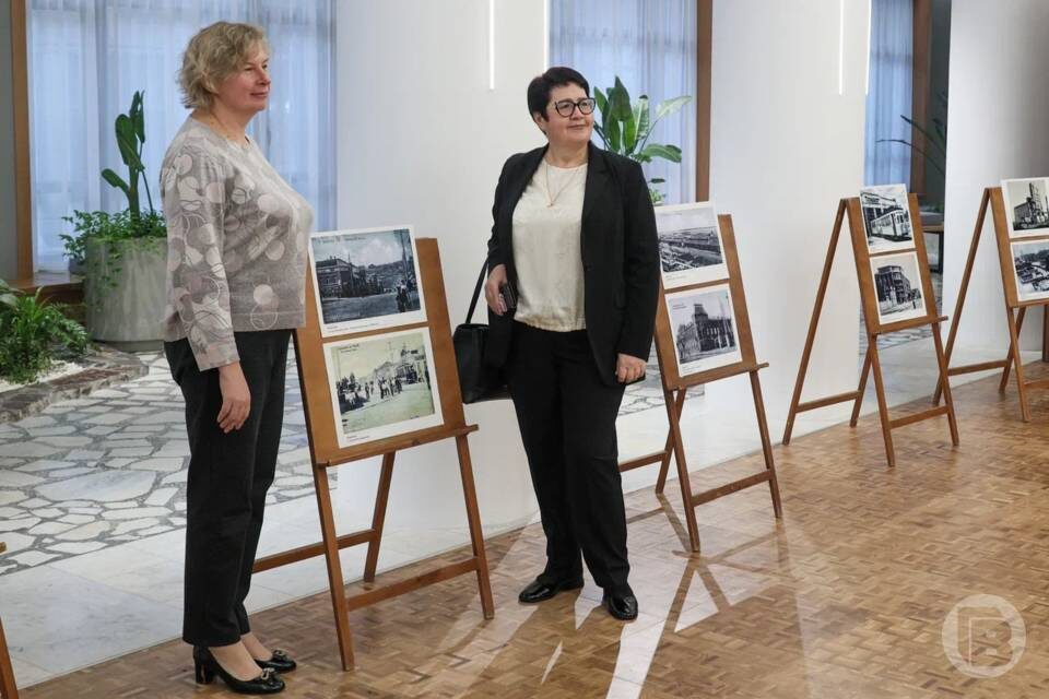    Фото: Дмитрий Рогулин / "Городские вести"