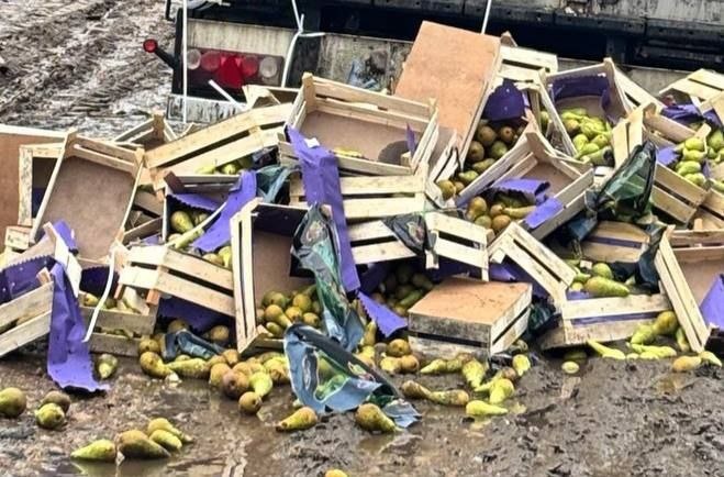 Фото: пресс-служба Северо-Западного межрегионального управления Россельхознадзора