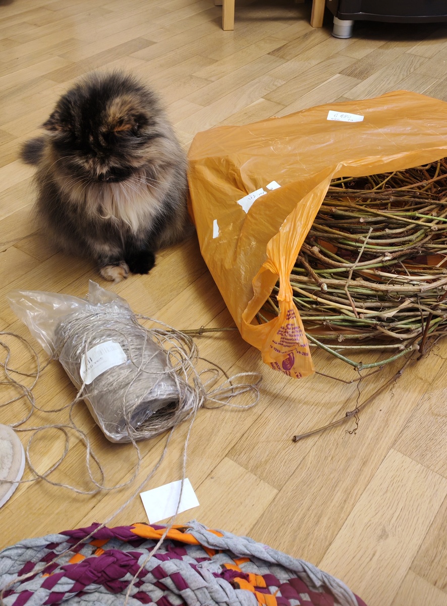 Кошка явно не понимает, что это хозяйка опять затеяла 