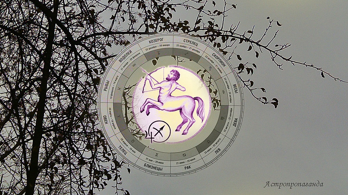 Гороскоп для Стрельца с 3 по 30 ноября 2025. 