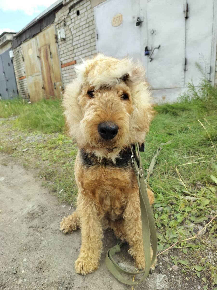 Психология.