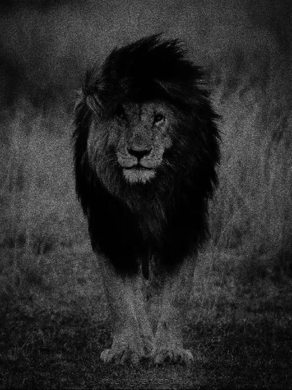 Фото из Яндекс картинки