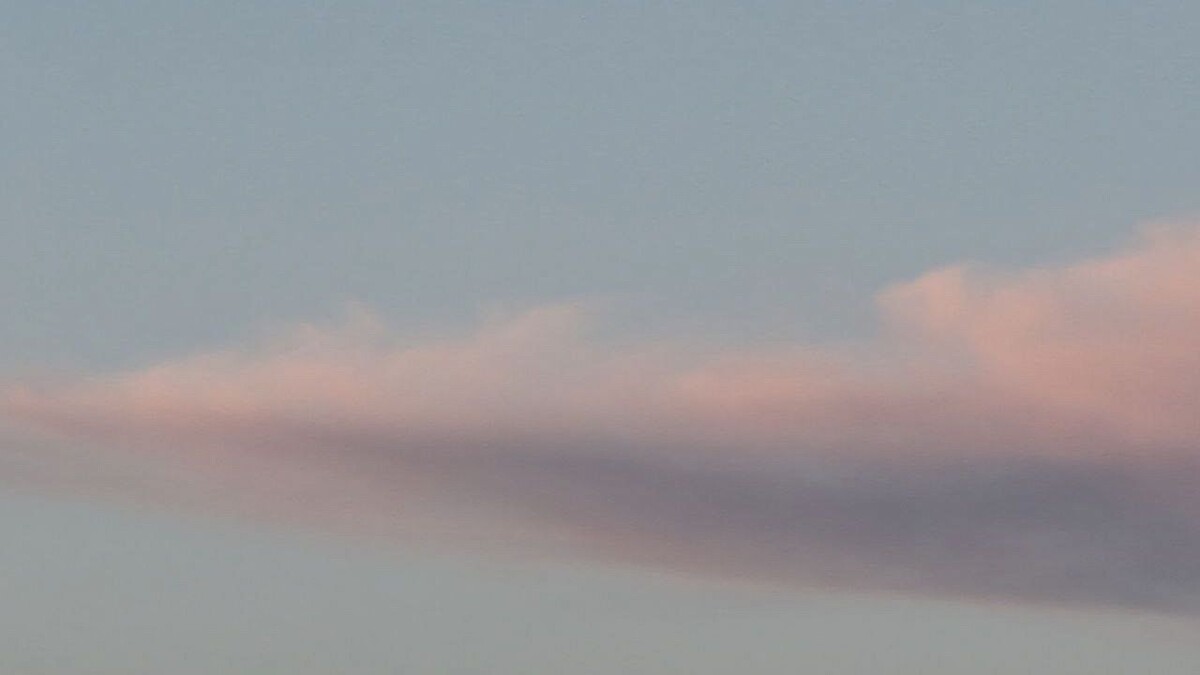    Фото: телеканал «Краснодар»