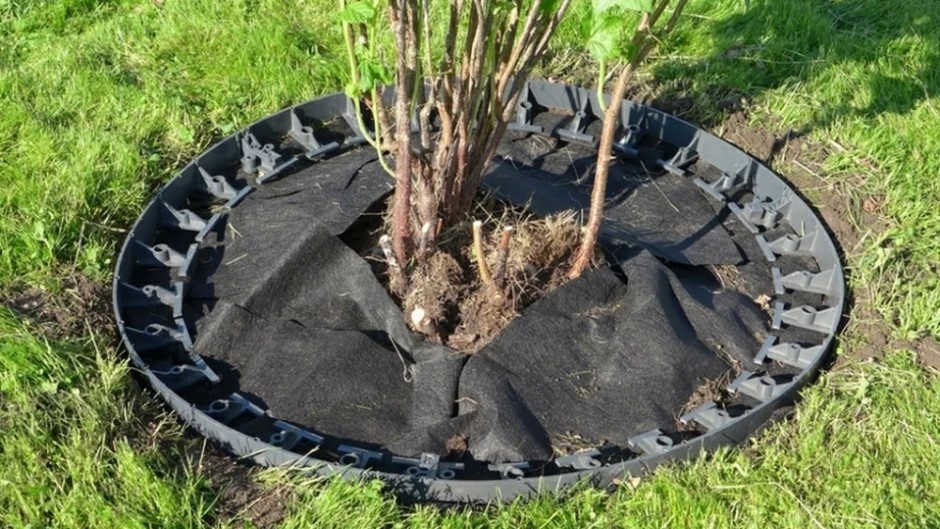 Мульчирование приствольного круга с использованием агротекстиля.