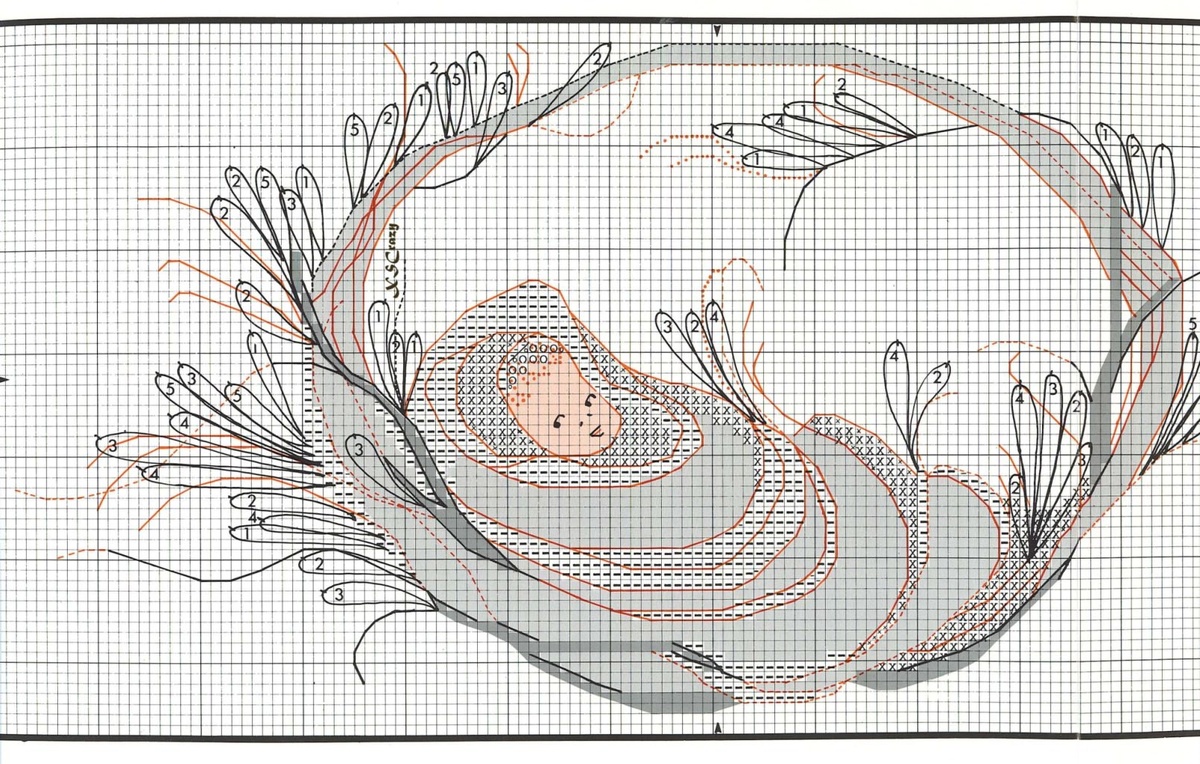 часть схемы Baby Boy, автор Бакли Мосс, фото из открытых источников.