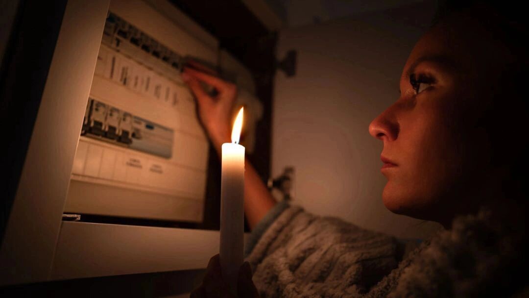    Фото: Creative Cat Studio/Shutterstock/Fotodom