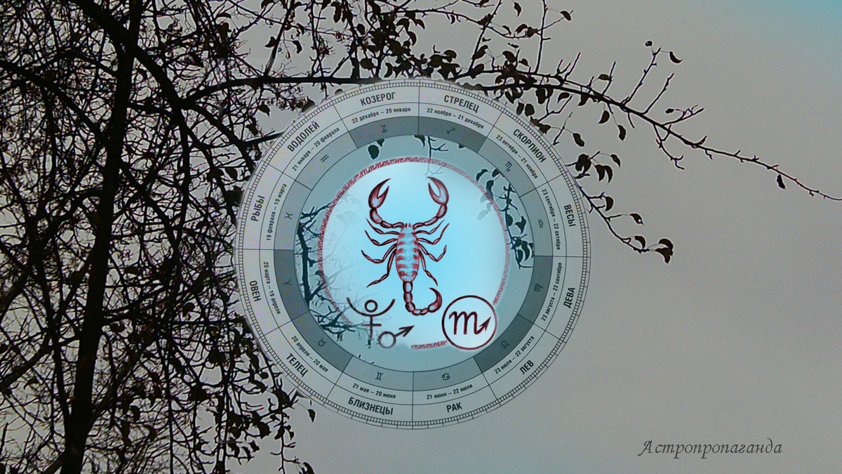 Гороскоп для Скорпиона с 3 по 30 ноября 2025. 