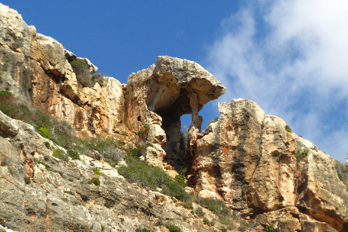 Фото взято из открытых источников