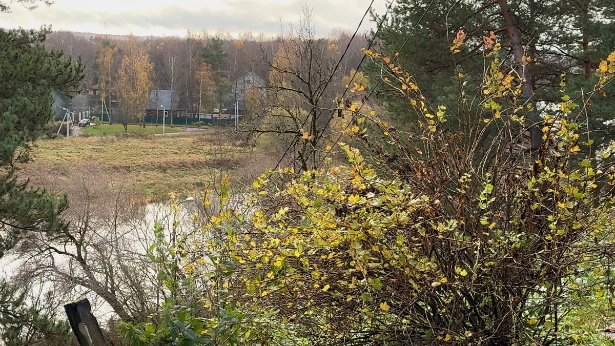 Река в тумане. Настоящая тишина Звенигорода, где всё замедляется.