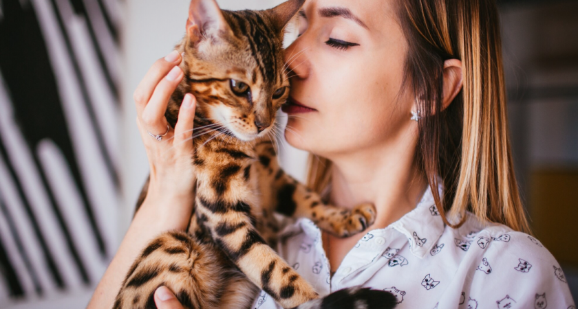    Есть одно место, куда можно целовать кошку - она не будет против. На заметку каждому хозяину