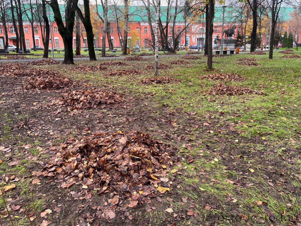 Уборка листвы в парке Казачьей Славы