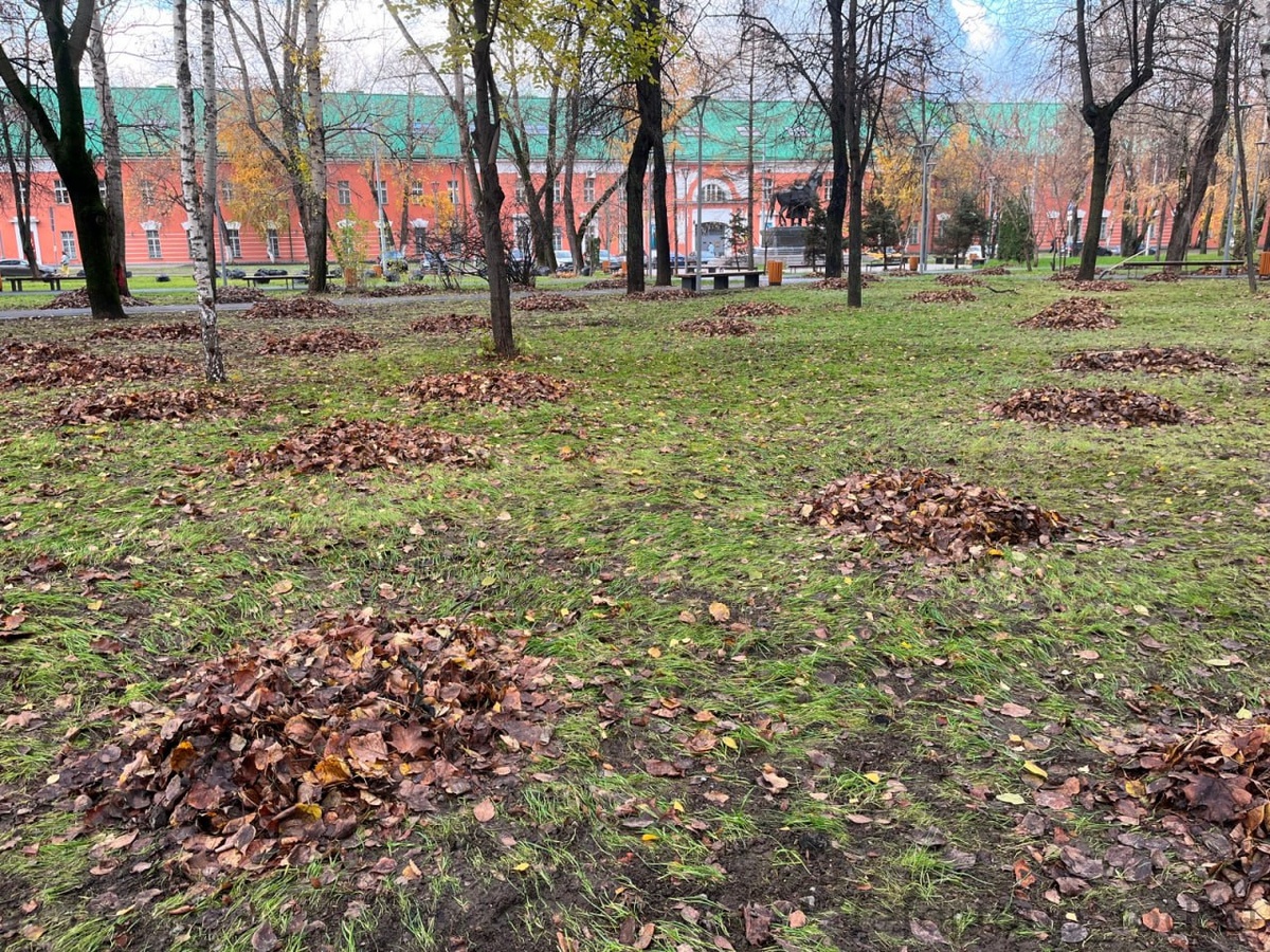 Уборка листвы в парке Казачьей Славы