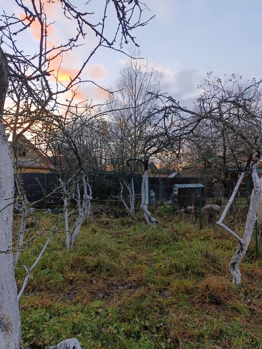 Тут ещё все хорошо, на следующий день все поблекло. В следующие выходные надеюсь установится сухая погода и можно будет нормально прокрасить вторым слоем 