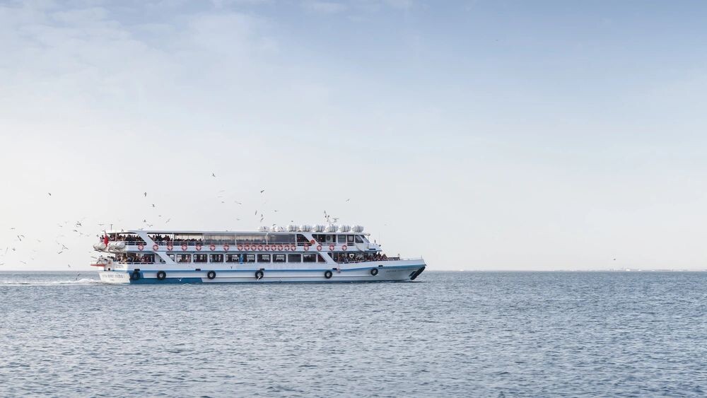    Фото: Evannovostro/Shutterstock/Fotodom