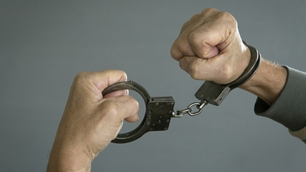    Nikolay Gyngazov/Globallookpress