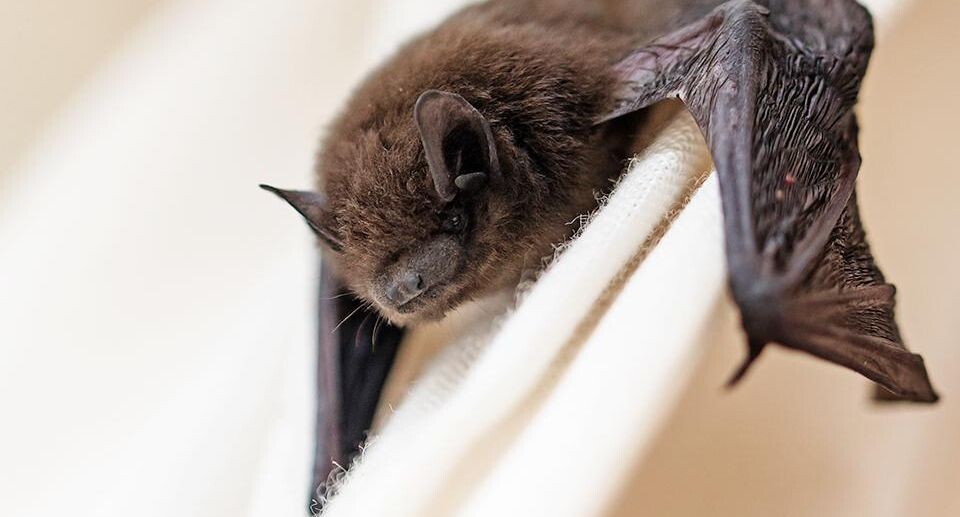    istockphoto.com/fermate