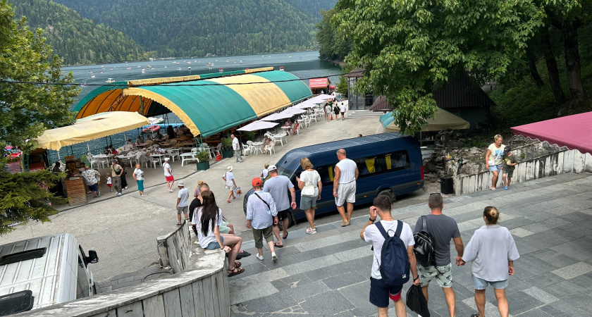    Съездила на сбор мандаринов в Абхазию - заработала больше, чем в офисе: правдивый отзыв туристки