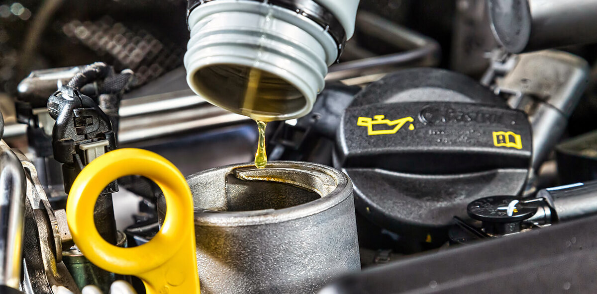 Изображение взято с сервиса Яндекс.Картинки