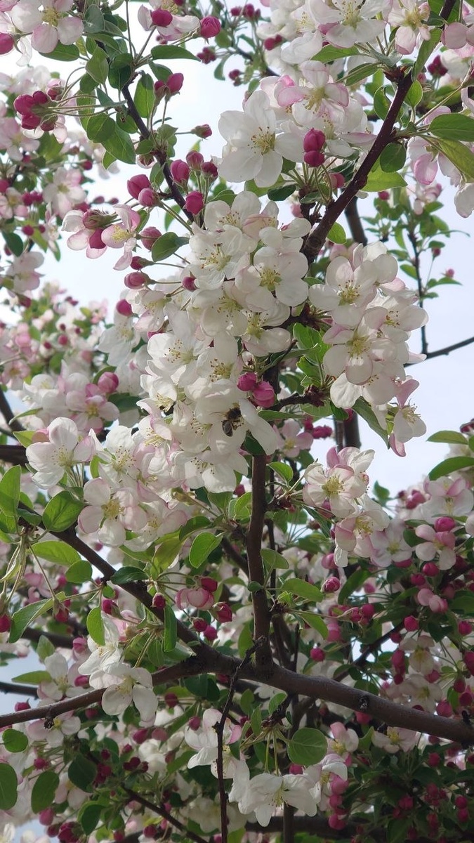 Фото автора. Будущее)