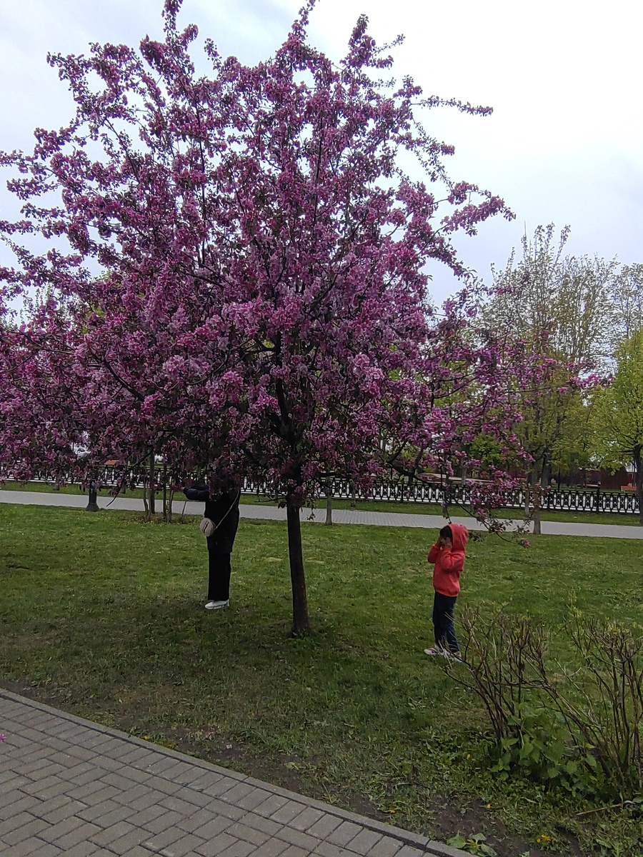 Фото автора. В сквере Зайцева.