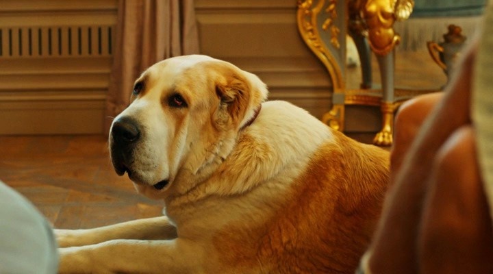 Кадр из сериала Виноделы - 1 сезон